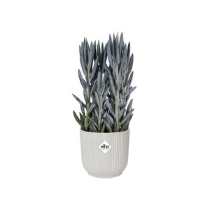 Elho Bloempot Vibes Fold rond 25cm wit - afbeelding 4