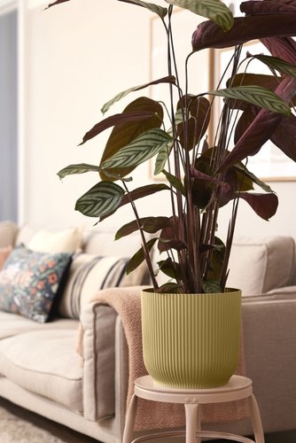 Elho Bloempot Vibes Fold rond 30cm geel - afbeelding 6