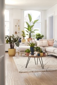 Elho Bloempot Vibes Fold rond 30cm geel - afbeelding 7