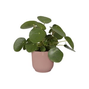 Elho Bloempot Vibes Fold rond 30cm roze - afbeelding 2