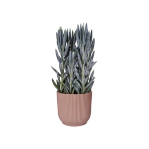 Elho Bloempot Vibes Fold rond 30cm roze - afbeelding 3