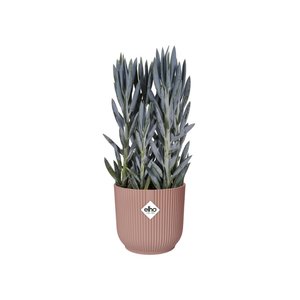 Elho Bloempot Vibes Fold rond 30cm roze - afbeelding 4