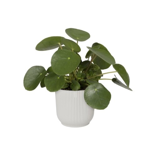 Elho Bloempot Vibes Fold rond 30cm wit - afbeelding 2