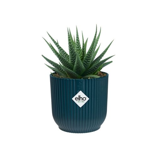 Elho Bloempot Vibes Fold rond Mini 11cm blauw - afbeelding 2