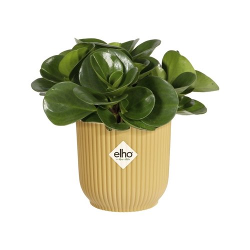 Elho Bloempot Vibes Fold rond Mini 11cm geel - afbeelding 2