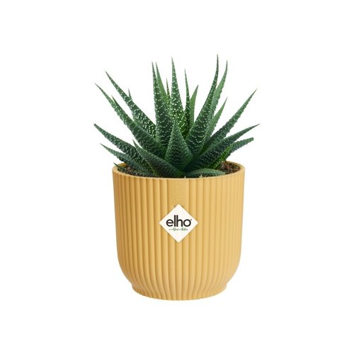 Elho Bloempot Vibes Fold rond Mini 11cm geel - afbeelding 4