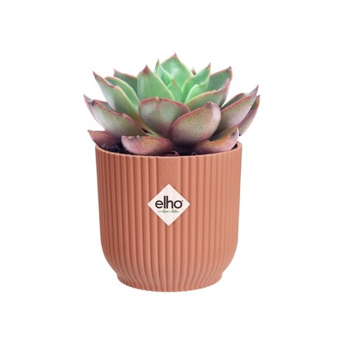 Elho Bloempot Vibes Fold rond Mini 11cm roze - afbeelding 4