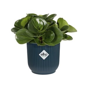 Elho Bloempot Vibes Fold rond Mini 7cm blauw - afbeelding 4