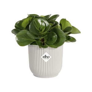 Elho Bloempot Vibes Fold rond Mini 7cm wit - afbeelding 3