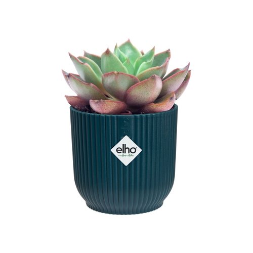 Elho Bloempot Vibes Fold rond Mini 9cm blauw - afbeelding 3