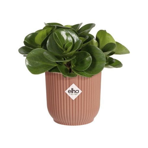 Elho Bloempot Vibes Fold rond Mini 9cm roze - afbeelding 2