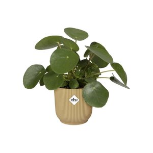 Elho Bloempot Vibes Fold rond wielen 35cm geel - afbeelding 2