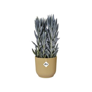 Elho Bloempot Vibes Fold rond wielen 35cm geel - afbeelding 3