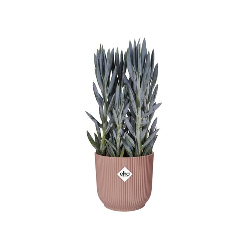 Elho Bloempot Vibes Fold rond wielen 35cm roze - afbeelding 2