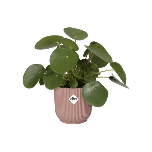 Elho Bloempot Vibes Fold rond wielen 35cm roze - afbeelding 3