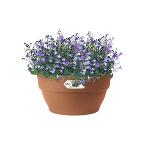 Elho Bloempot Vibia Campana 34cm bruin - afbeelding 2