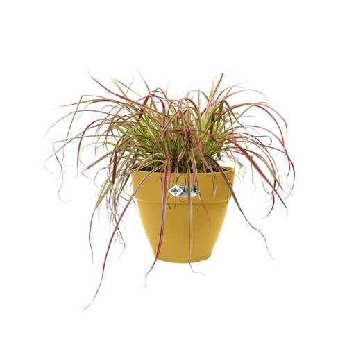 Elho Bloempot Vibia Campana rond 20cm geel - afbeelding 3