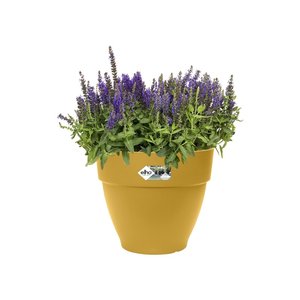 Elho Bloempot Vibia Campana rond 25cm geel - afbeelding 2