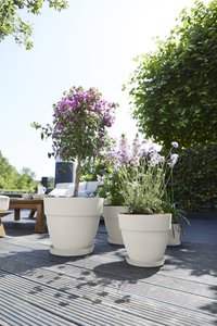 Elho Bloempot Vibia Campana rond 35cm wit - afbeelding 5