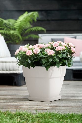 Elho Bloempot Vibia Campana vierkant 30cm bruin - afbeelding 3