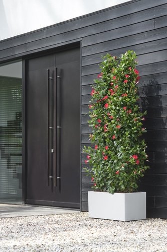Elho Bloempot Vivo Next Lang 80cm wit - afbeelding 2