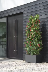 Elho Bloempot Vivo Next Lang 80cm zwart - afbeelding 2