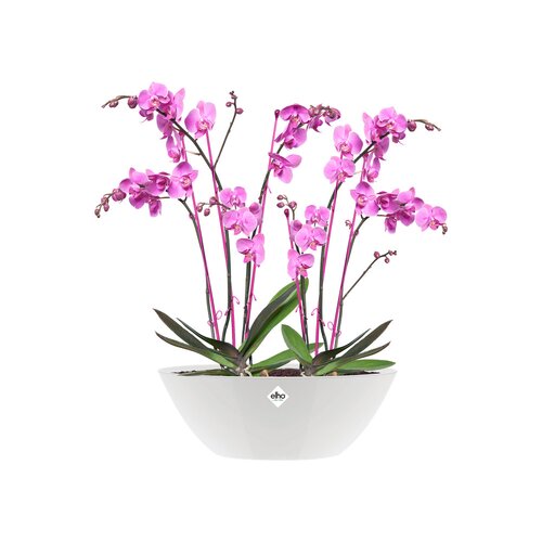 Elho brussels diamond ovaal 36cm wit - afbeelding 2