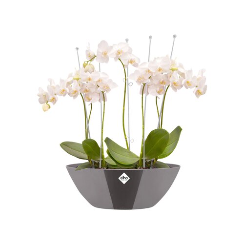 Elho brussels diamond ovaal 46cm - afbeelding 2