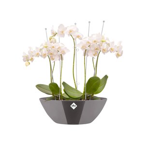 Elho brussels diamond ovaal 46cm - afbeelding 2