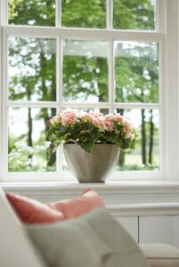 Elho brussels diamond ovaal hoog 36cm - afbeelding 3