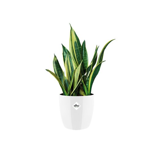 Elho brussels diamond rond 20cm wit - afbeelding 2