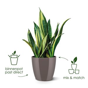 Elho brussels diamond rond 20cm wit - afbeelding 3