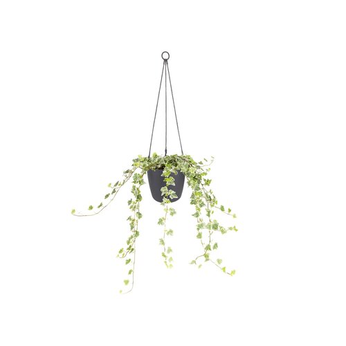 Elho brussels hangschaal 18cm antraciet - afbeelding 2