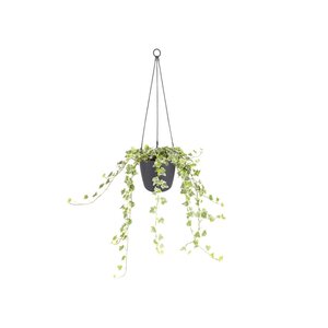 Elho brussels hangschaal 18cm antraciet - afbeelding 2