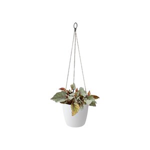 Elho brussels hangschaal 18cm wit - afbeelding 2