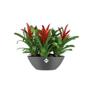 Elho brussels ovaal 36cm antraciet - afbeelding 2