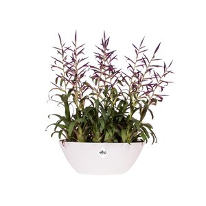 Elho brussels ovaal 36cm wit - afbeelding 2