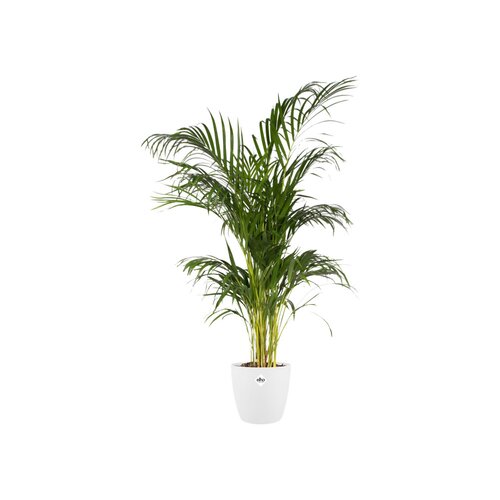 Elho brussels rond 22cm wit - afbeelding 2