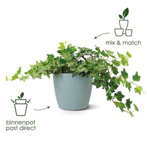 Elho brussels rond 22cm wit - afbeelding 3