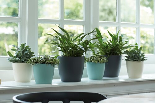 Elho brussels rond 22cm wit - afbeelding 6