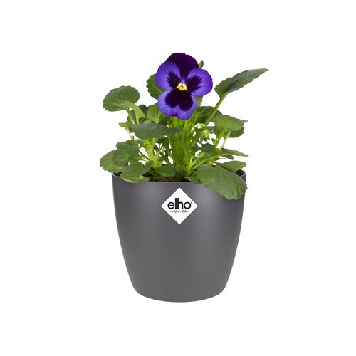 Elho brussels rond mini 10,5cm antraciet - afbeelding 2