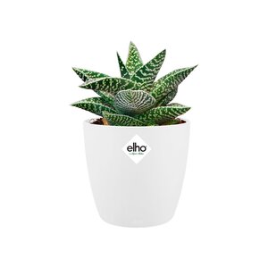 Elho brussels rond mini 10,5cm wit - afbeelding 2