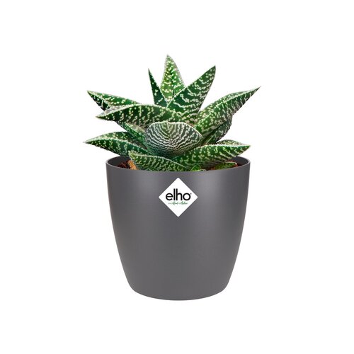 Elho brussels rond mini 9,5cm antraciet - afbeelding 2