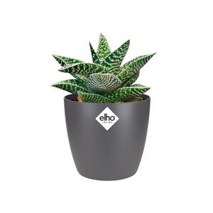 Elho brussels rond mini 9,5cm antraciet - afbeelding 2