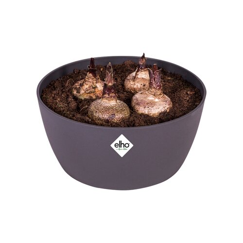Elho brussels schaal 23cm antraciet - afbeelding 2