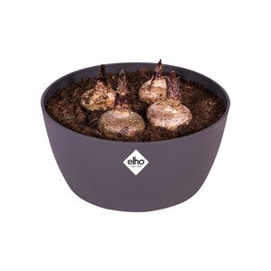 Elho brussels schaal 23cm antraciet - afbeelding 2