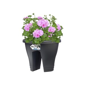 Elho corsica flower bridge 30cm - afbeelding 2