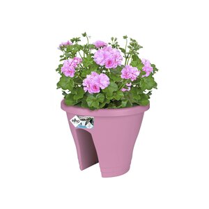 Elho corsica flower bridge 30cm - afbeelding 2