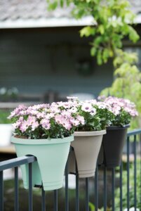 Elho corsica flower bridge 30cm - afbeelding 3