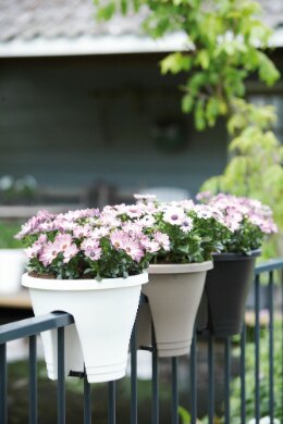 Elho corsica flower bridge 30cm - afbeelding 3